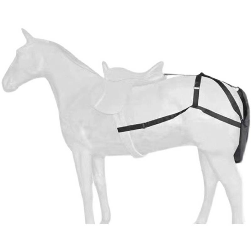 The horse utensils straight into the city and the horse dung and the saddle for the wedding