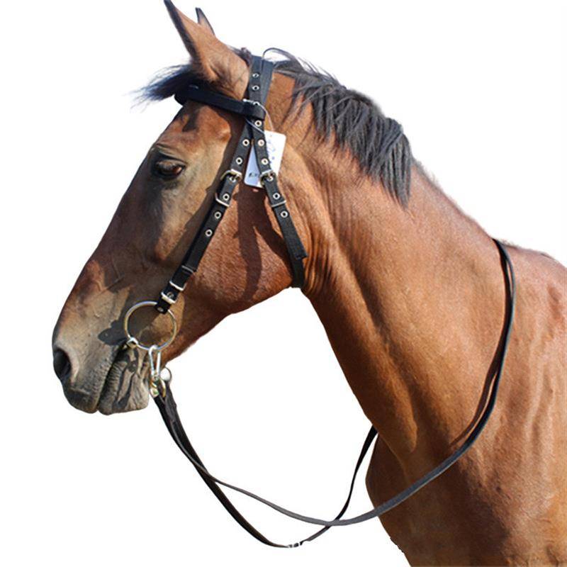 A pony-head rope rides a pony-size pony-size pony-straw-straw-straw-straw-strangling