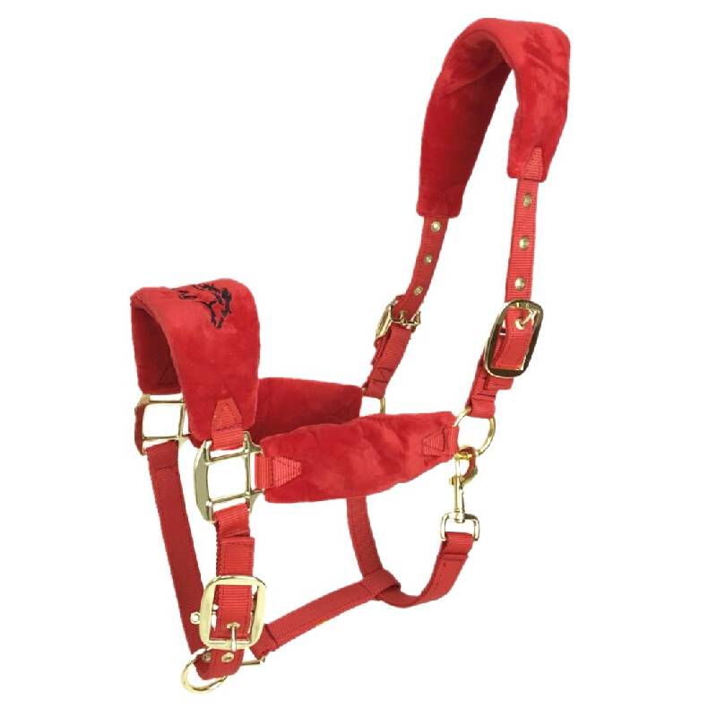 The new Mandarin Horse Horse Horse Equestnically Dwarf Horses Follow -Following Following Professional Shuile Pass Horse Equipment