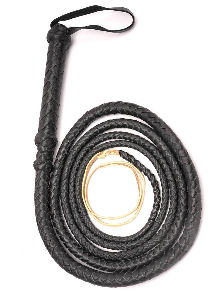 Fowl-Fowl-Fowl-Fowl-Fowl-Fowl-Fowl-Whip-Whip-Whip-Whip-Whip-Whip-Whip-Whip-Whip 8 whips