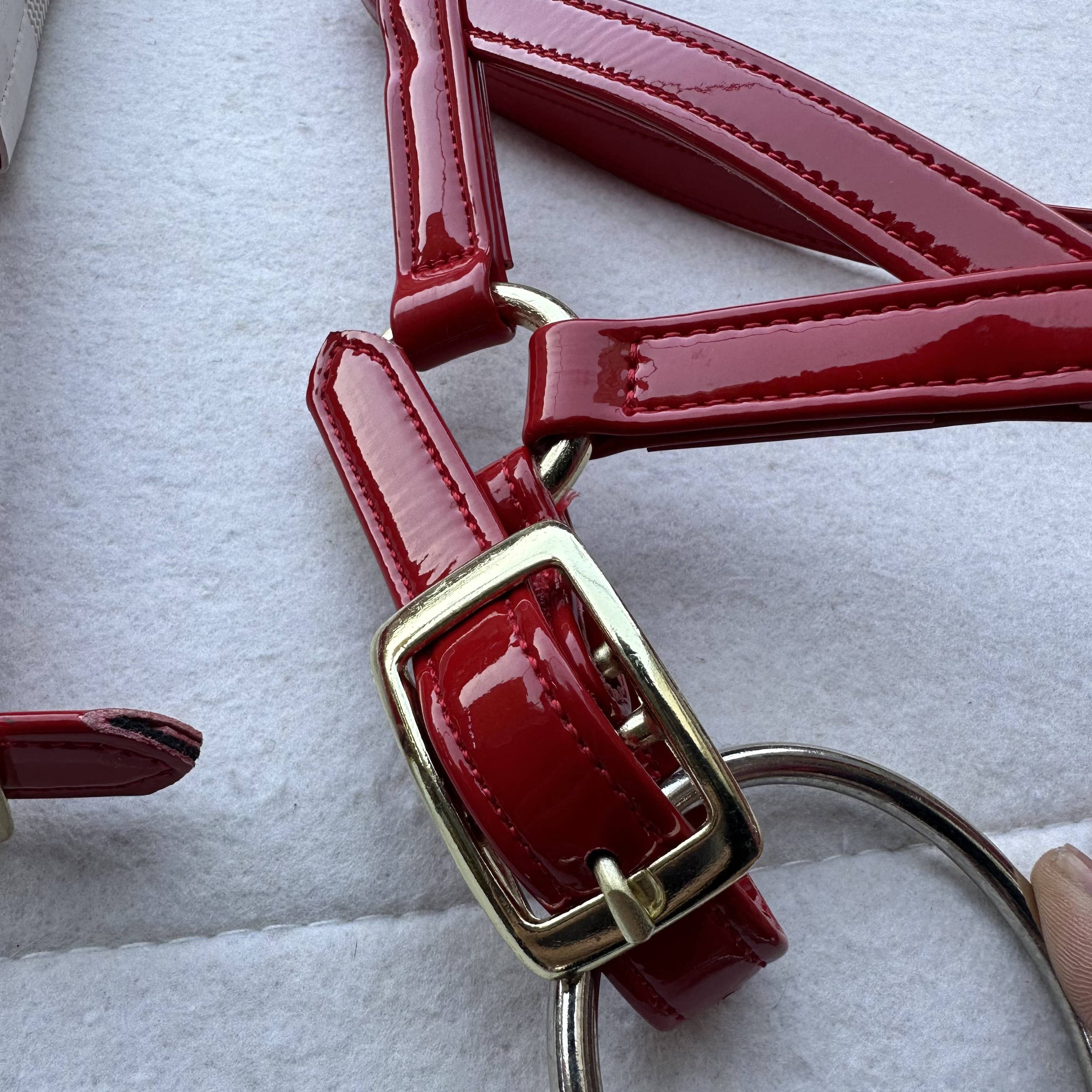 Patent leather water reins equestrian iron accessories faucet