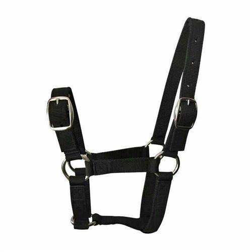 Rui Rui Horse Horse Horse Horse Horse Horse Horse Horse Horse Model Tuner Equestrian Factory Horse Cage Set full set of