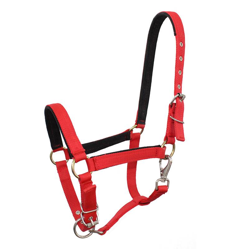 Pony-skin-sized pony-skin-size-sized pony-scrubber full of wiring boards for horse-heads