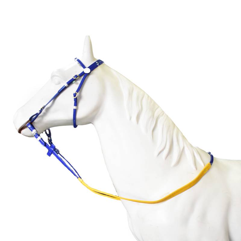 Century Jiudu Equestyls Equipment Hangtou Shuile Malaysia Products Pacific Protection Tournament Mattsu Marshal Pacific Pacific Water Leather