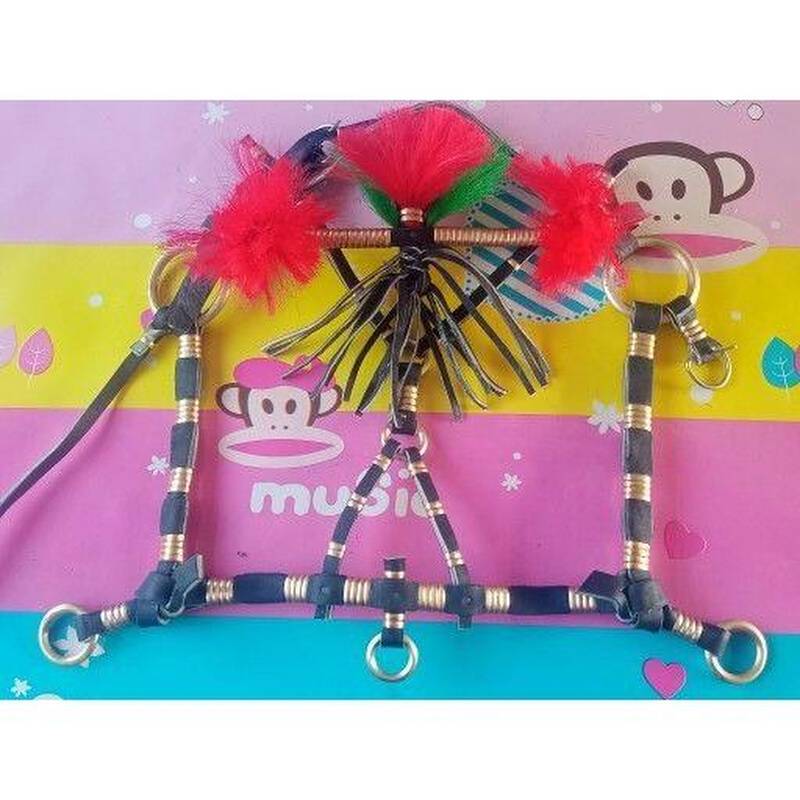 Shuile's short horse head horse horsesy accessories horses hold wedding travel car supplies horse cage set horses cage