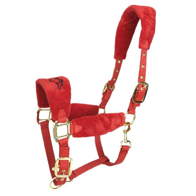 The new Mandarin Horse Horse Horse Equestnically Dwarf Horses Follow -Following Following Professional Shuile Pass Horse Equipment