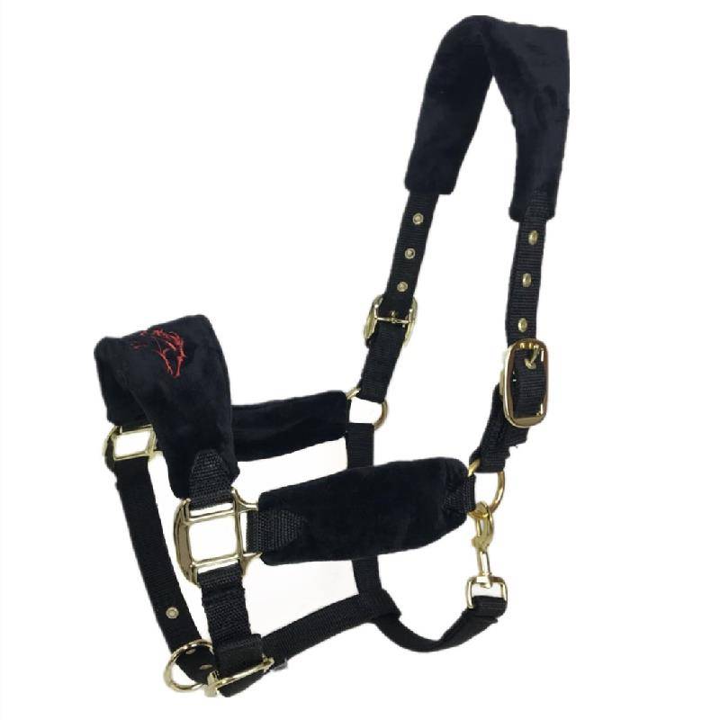 The new Mandarin Horse Horse Horse Equestnically Dwarf Horses Follow -Following Following Professional Shuile Pass Horse Equipment