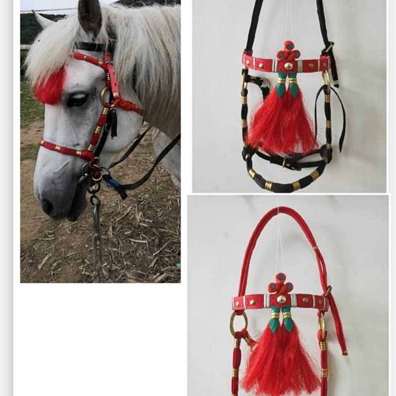The horse's head is full of horse utensils and a thick dragon tweezer