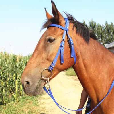 Shuile horse chewing the saddle horse horses a full set of chewy fork equestrian reins to buy 10 get 1 free