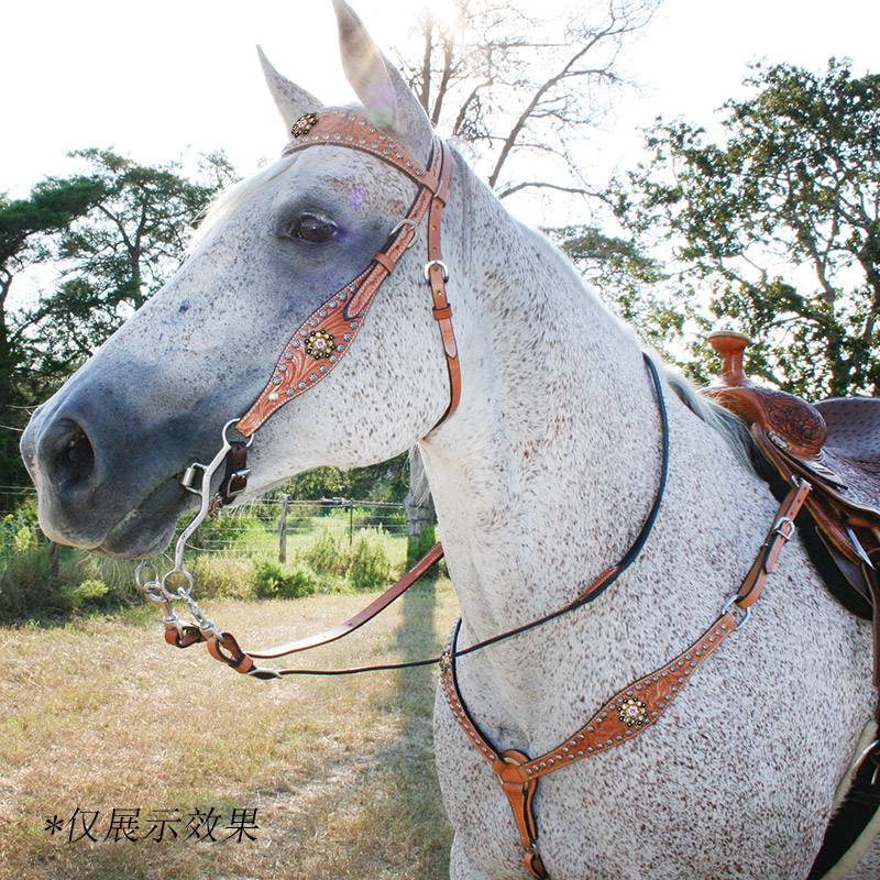 The US imported bronze powder crystal decoration buckle chest with water piercing Spurs decorative horses horses and equipment accessories