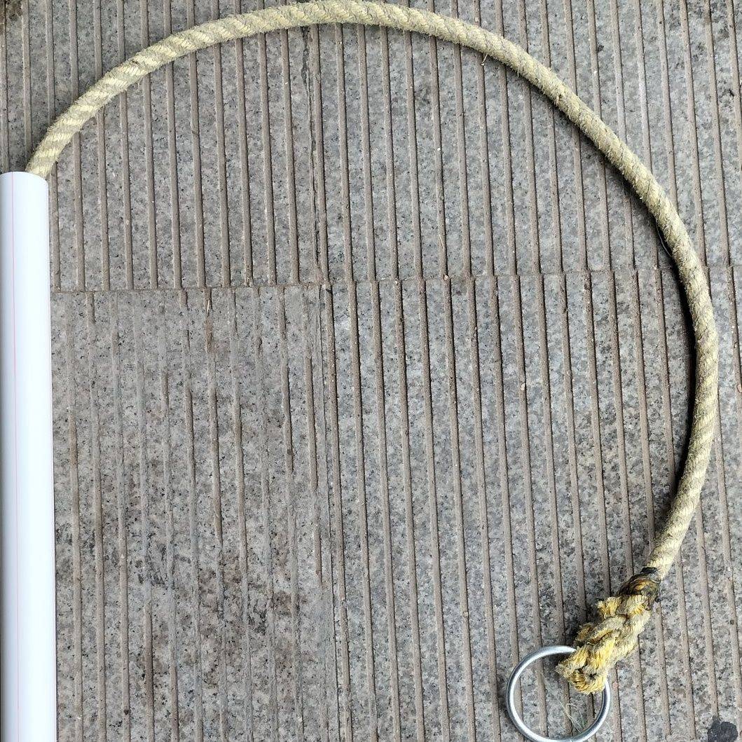 Set a cow rope horsepower, a cow rod, a horsepower grabbing cow is particularly easy to catch the cow artifact pig for pig special beasts