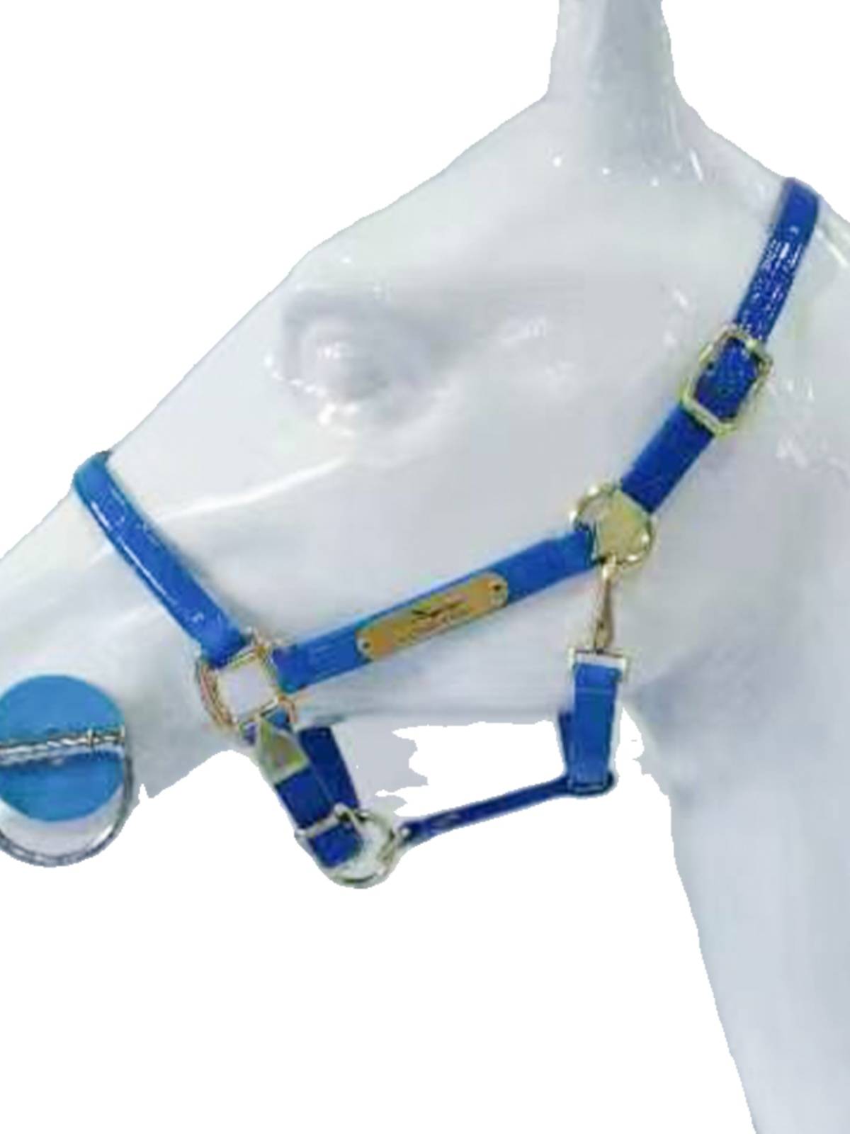 Patent leather horse cage head equestrian horses horses and horseshole cages bright faces can be adjusted with Malaysian lead traction