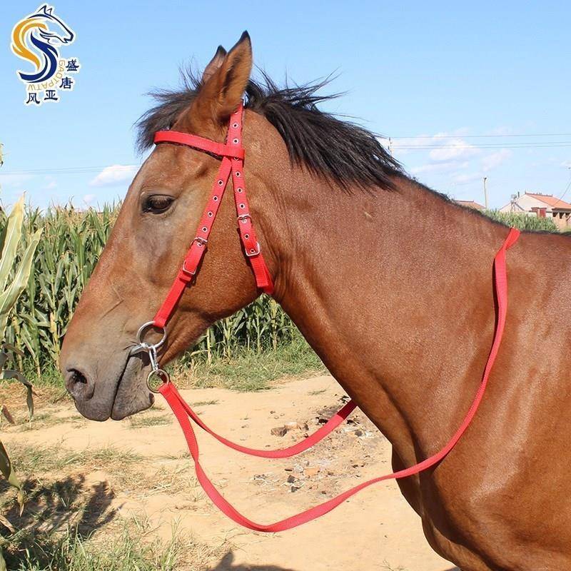 Horses and tweezers and tweezers and tweaks and tweaks