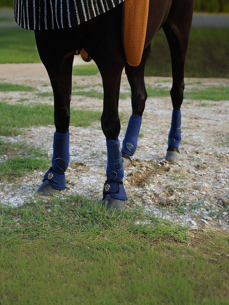 Horseshoes for wrists, horseshoes for hooves, boots and feet for grinding horses and horseshoes