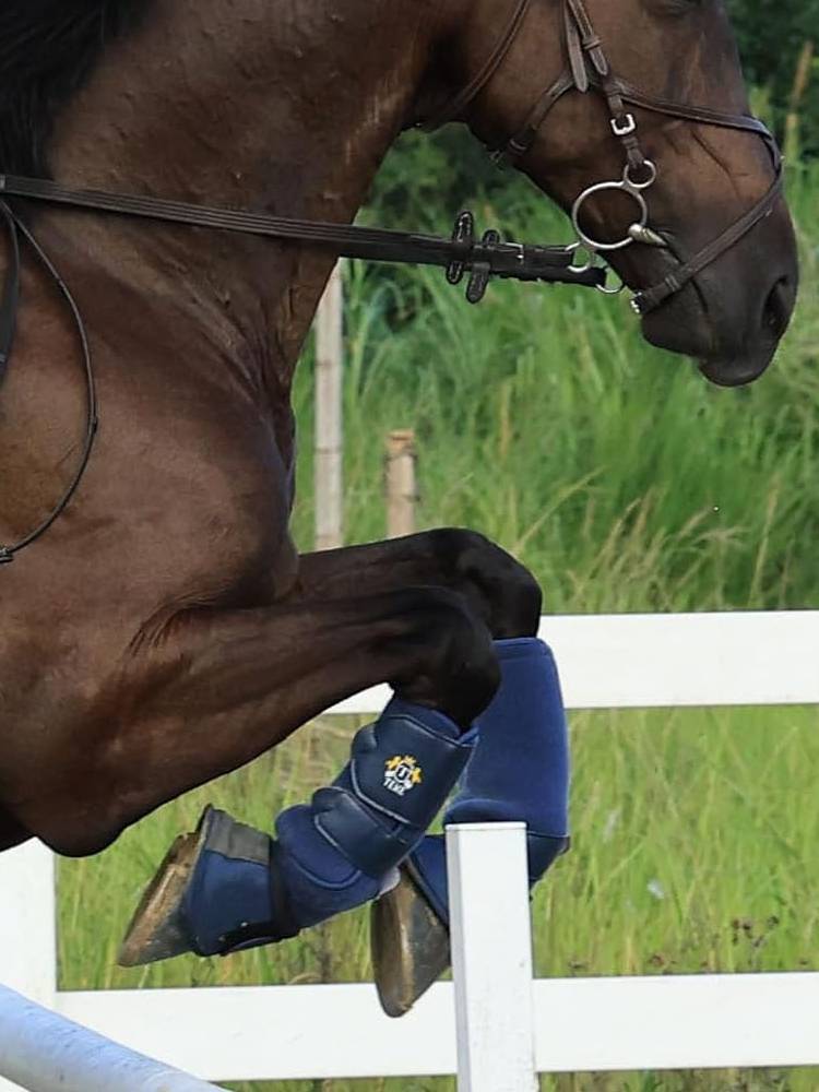 Horseshoes for wrists, horseshoes for hooves, boots and feet for grinding horses and horseshoes