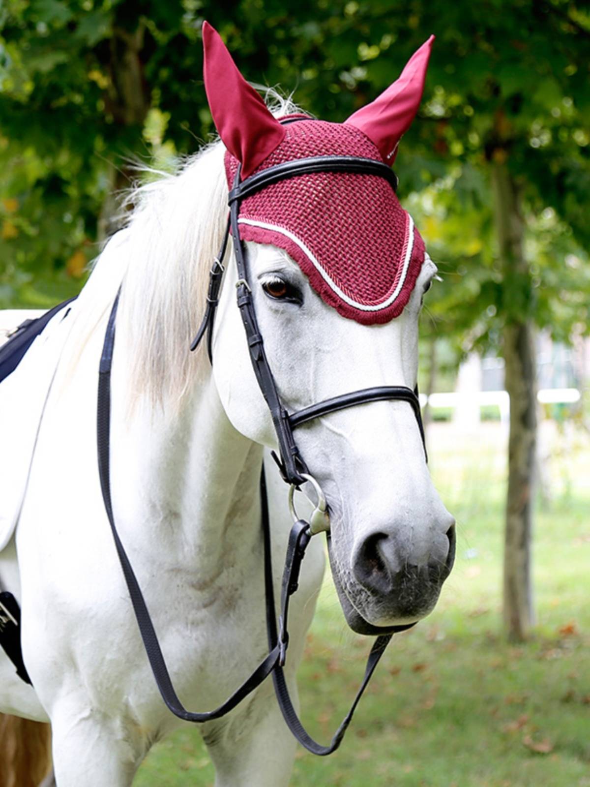 British Shires-Blenheim Shui La La La La Laoshilka Malaysia 8208002