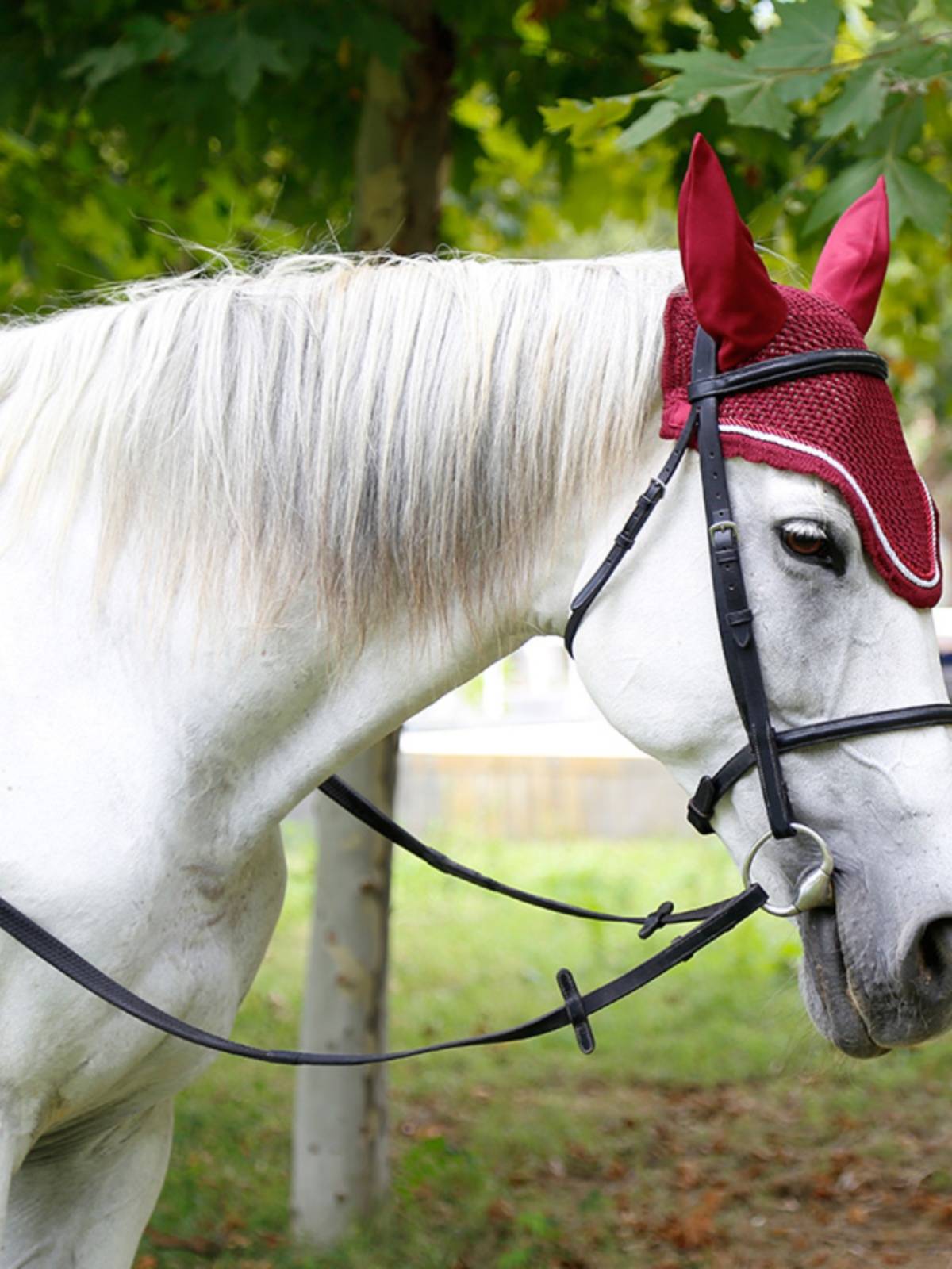 British Shires-Blenheim Shui La La La La Laoshilka Malaysia 8208002