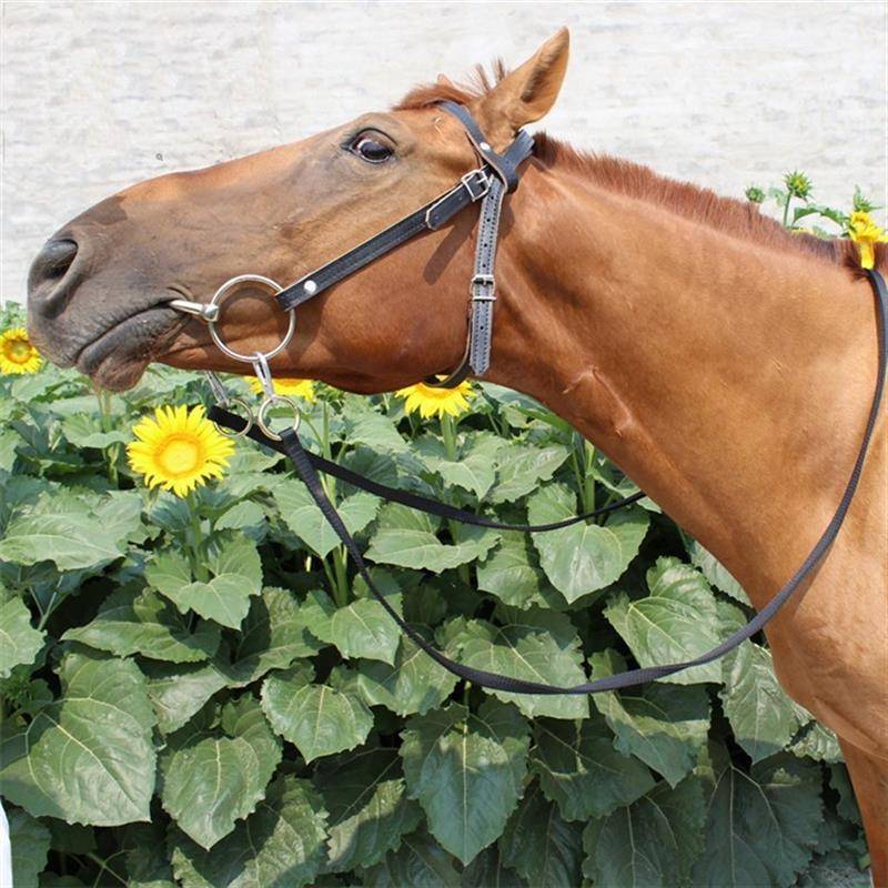 New product horse chewing Zile reins horse cage equestrian products horses, short and small horses, horses and mules, comfortable horses