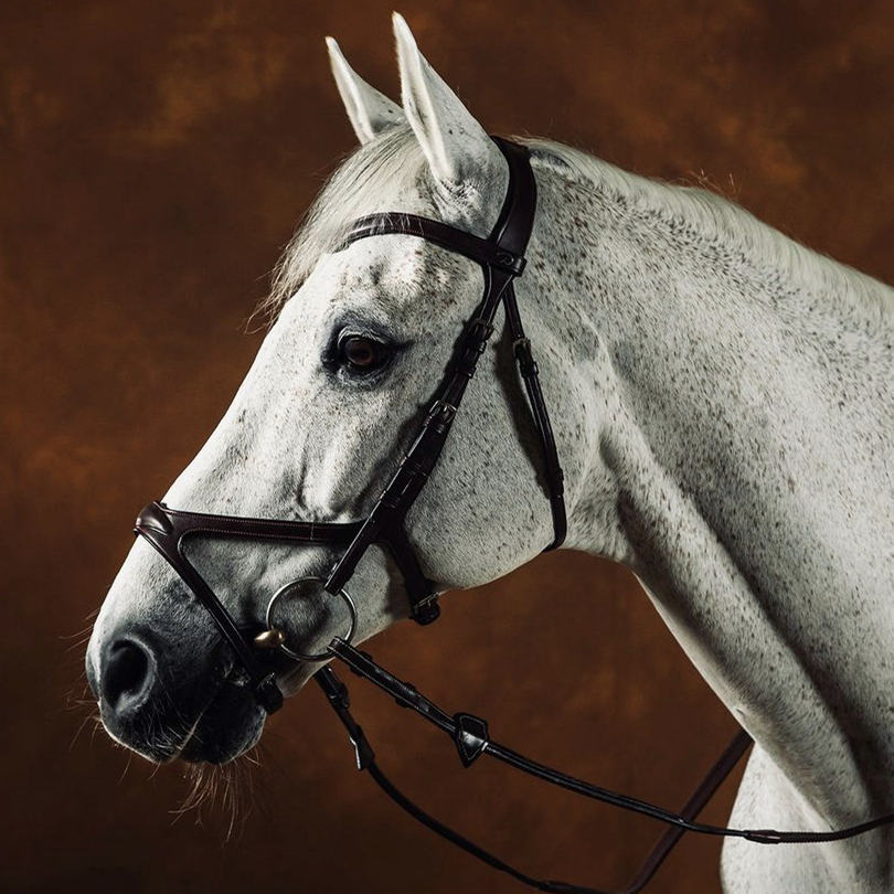 Belgian Dyon Water Leab European high -quality cowhide avoid horses' head sensitive nerve B11X