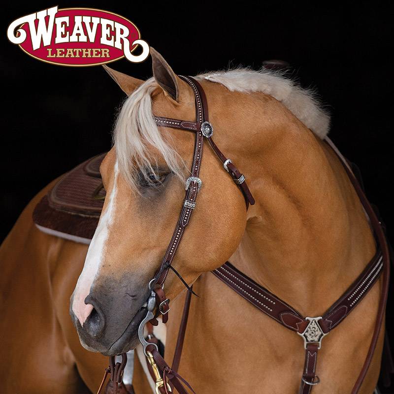 Imported Weaver Western Maave Male Set Western Malle