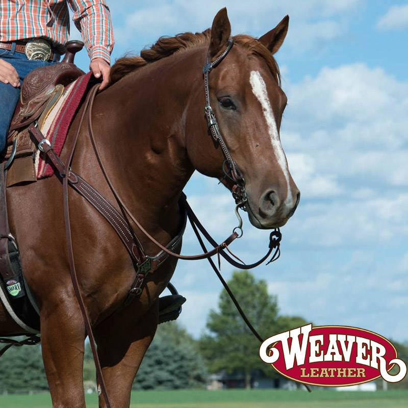 Imported Weaver Western Maave Male Set Western Malle