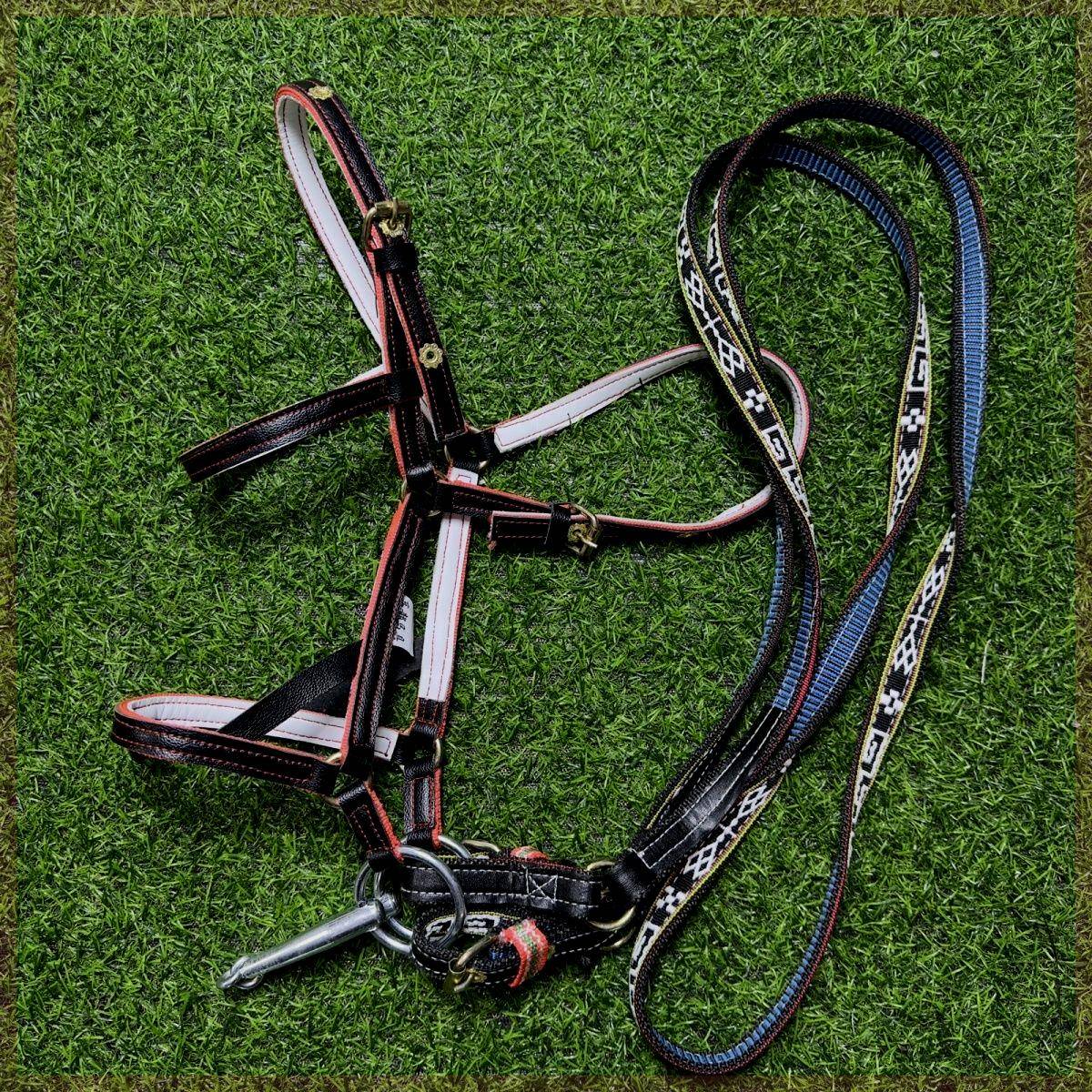 Wushu full set of horses forks a set of cowhide horses horses horses equipment horses and equipment tools tools