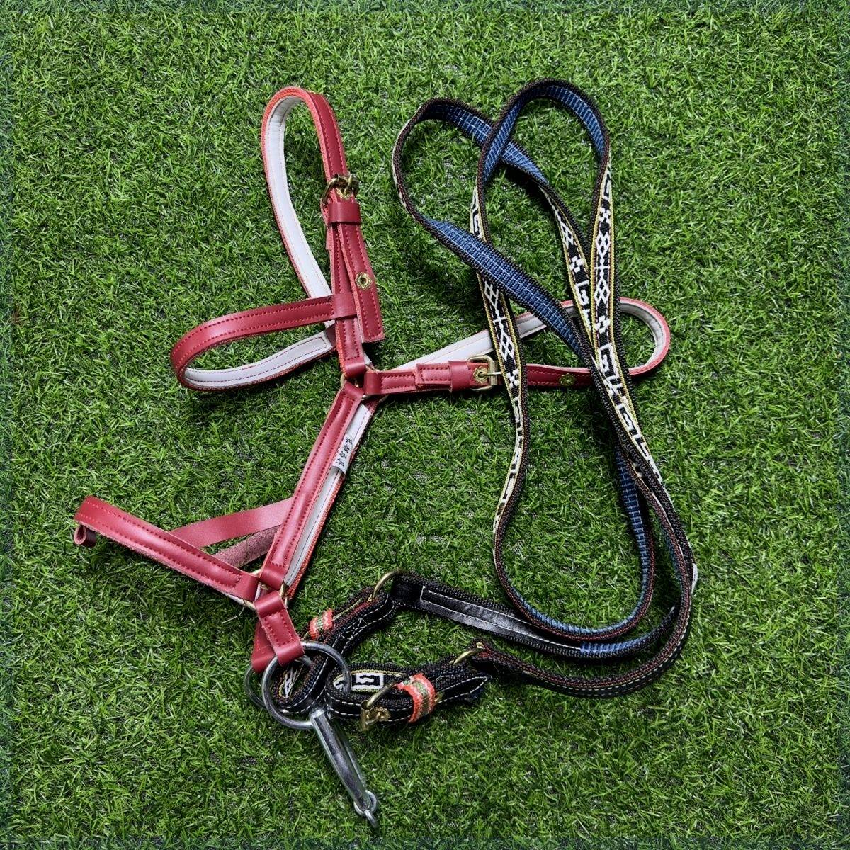 Wushu full set of horses forks a set of cowhide horses horses horses equipment horses and equipment tools tools