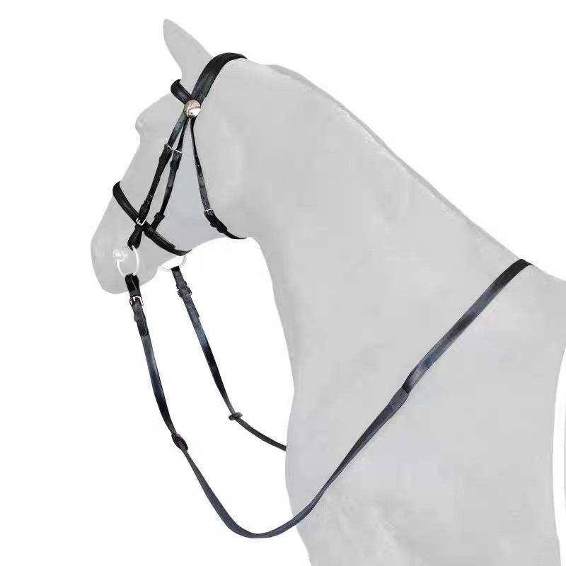 Pai Sai Maoshui reins front chest wearing anti -frozen water reins PVC waterwood front chest