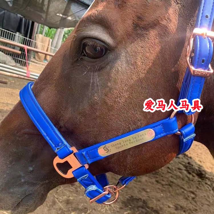Pumpty-sized pony-sized, pony-sized, pony-sized, pony-skin-skin-snack-snack-snack-sniff-snack-snack-snack-snack-snack-snack-snack-snack-snack-snack-snack-snack-snack-snack-snack-s