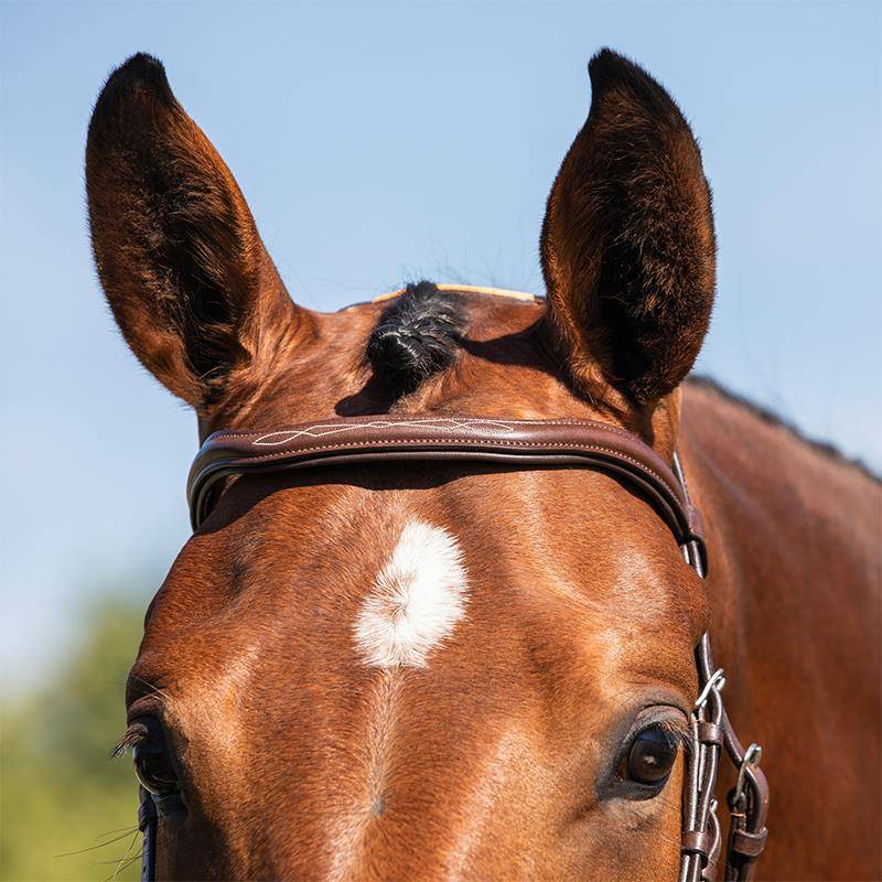 Italian ACAVALLO Cructh Purple Brown Equestrian Movement Loch Horse 8218089