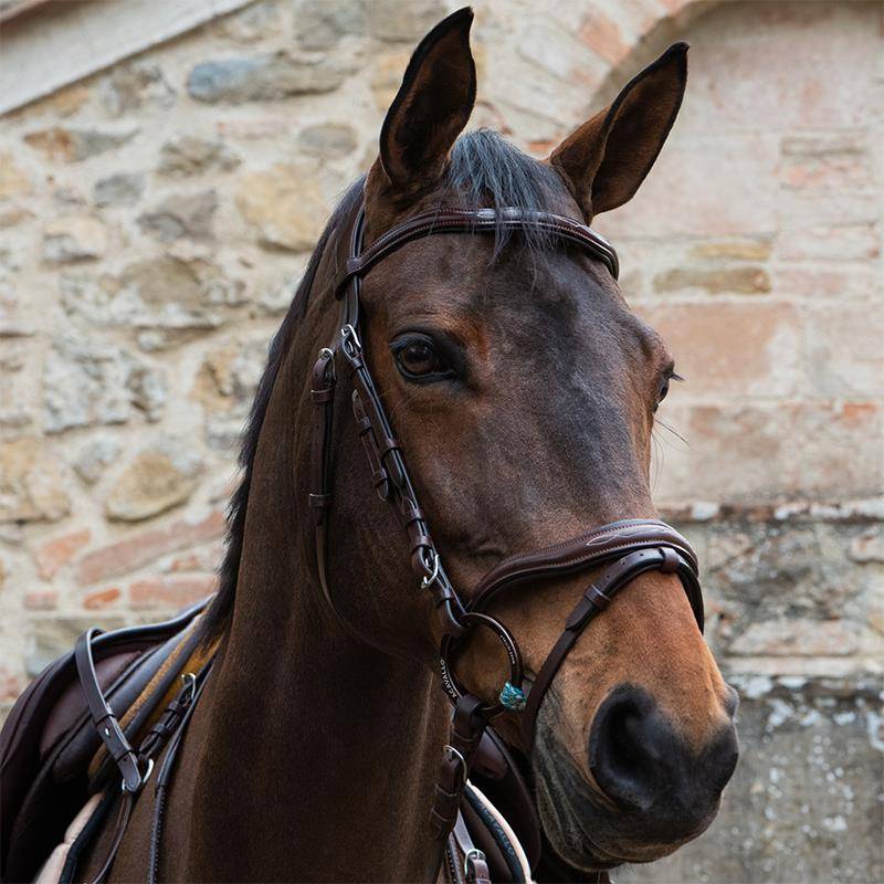 Italian ACAVALLO Cructh Purple Brown Equestrian Movement Loch Horse 8218089