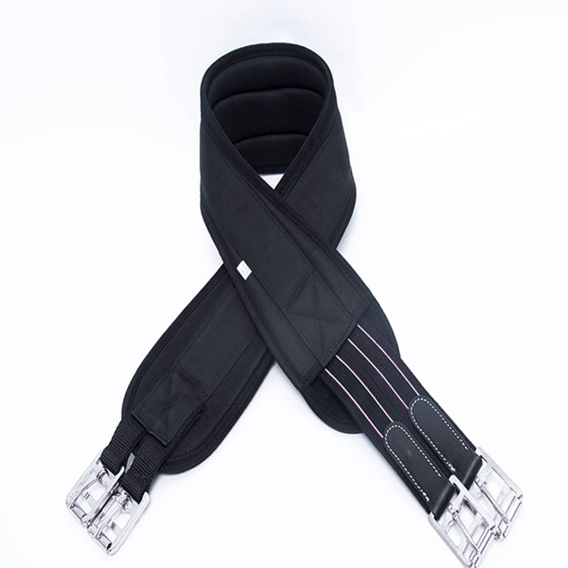 The horse's tummy belt