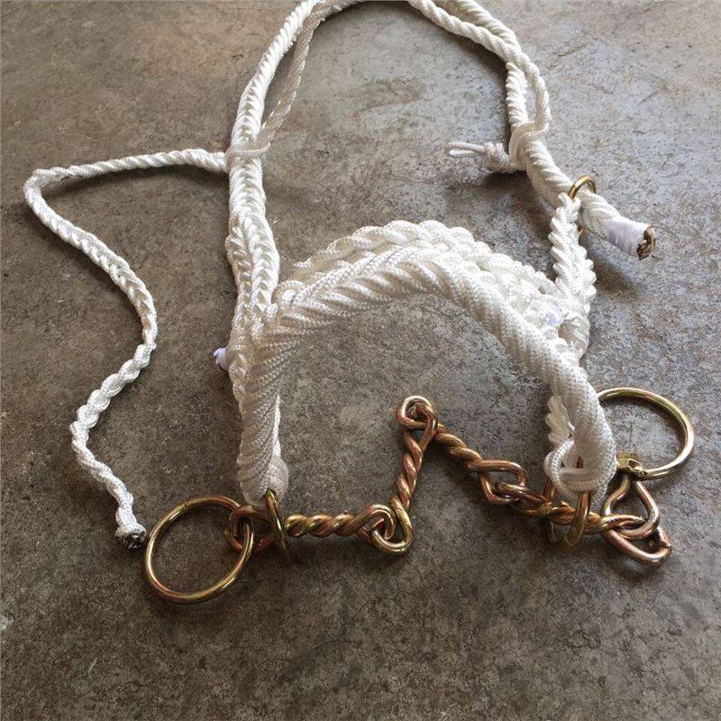One with a big mouth chain