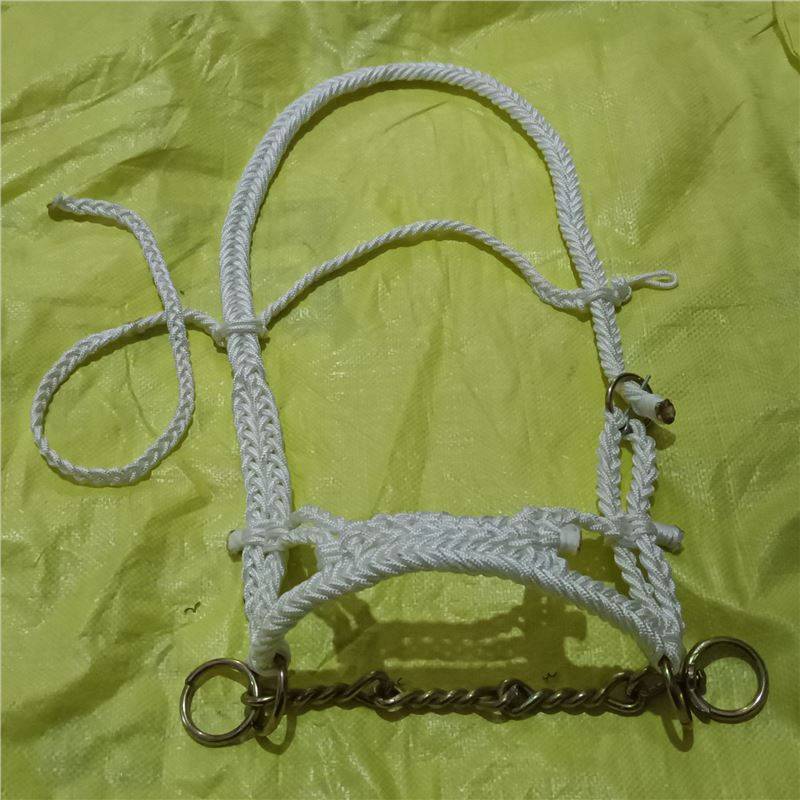 One set with a little mouth chain
