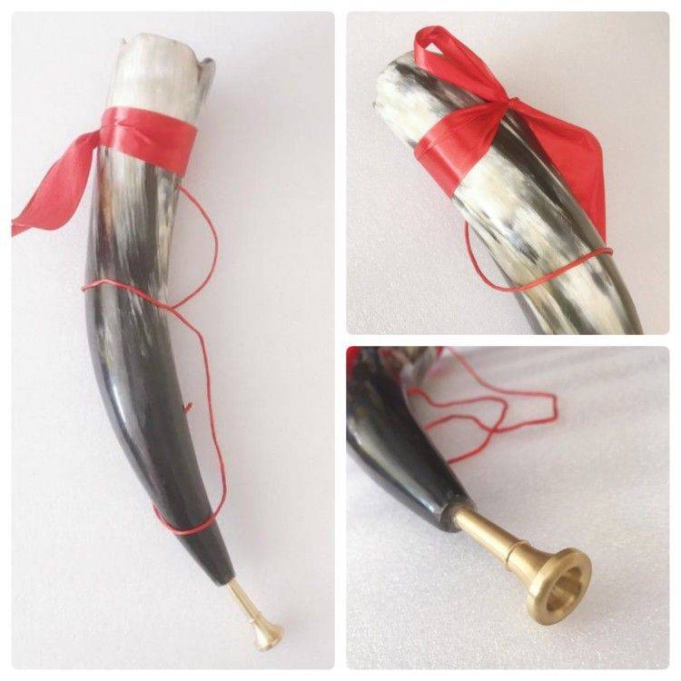 A long, smooth brass blowjob (40 cm)