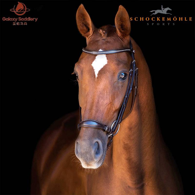 Schockemohle Equestrian Equestrus Dance Step Step Facin Equestrian Factory