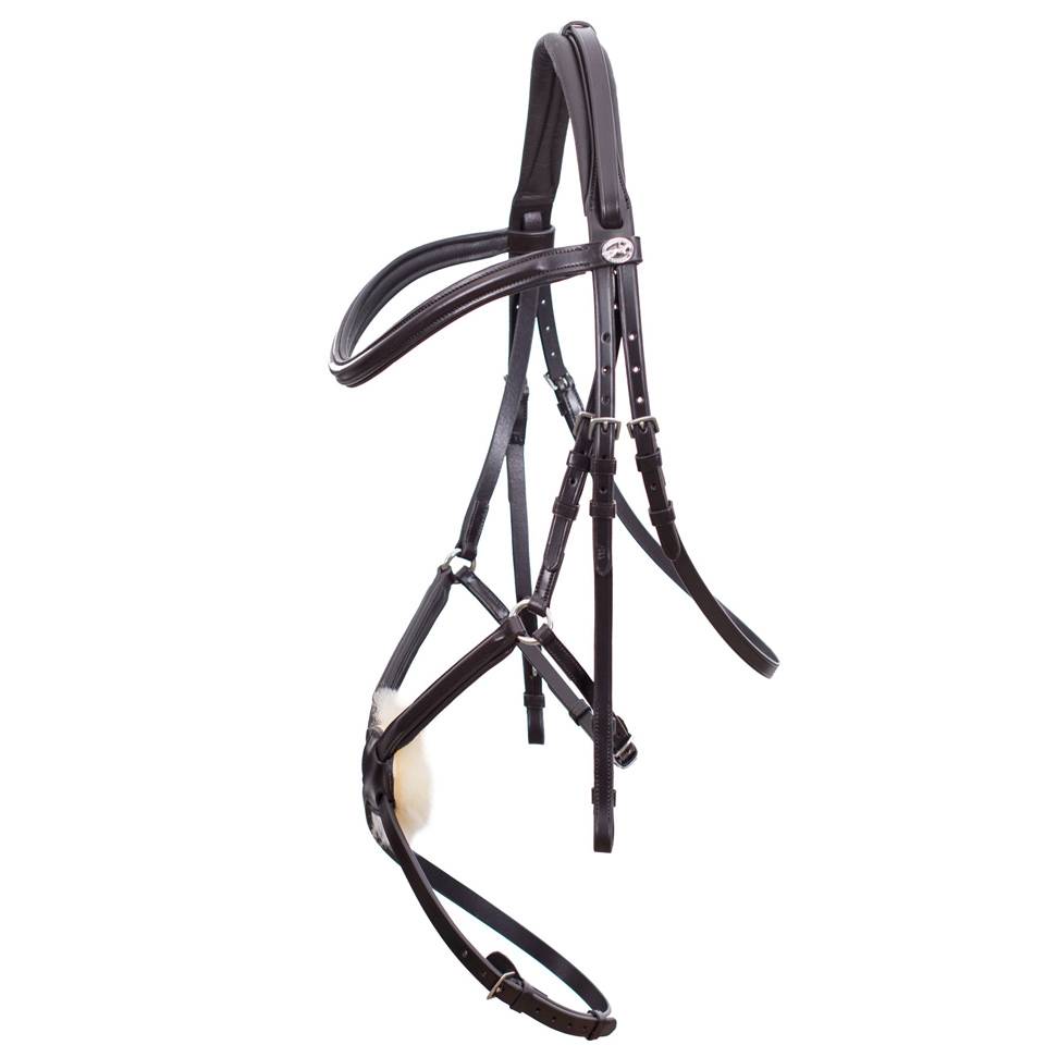 Schockemohle Equestrian Equestrus Dance Step Step Facin Equestrian Factory