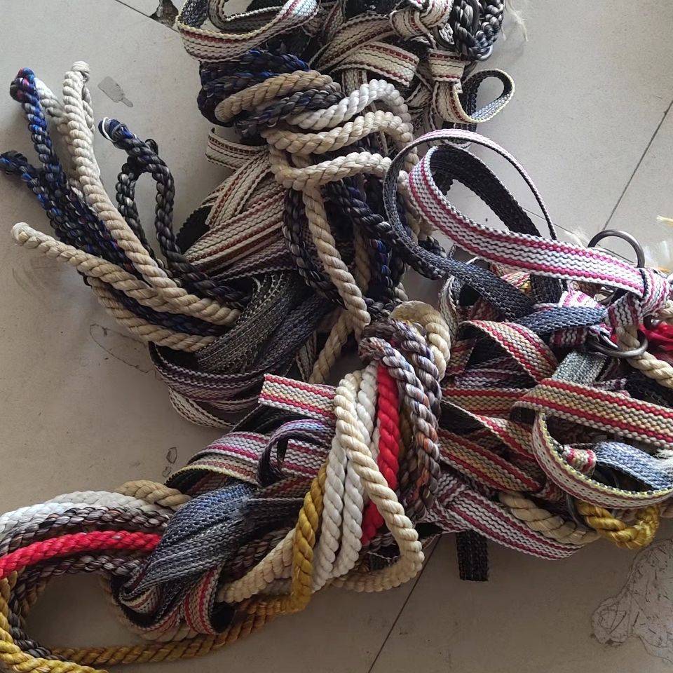 Cows with ten steel ropes