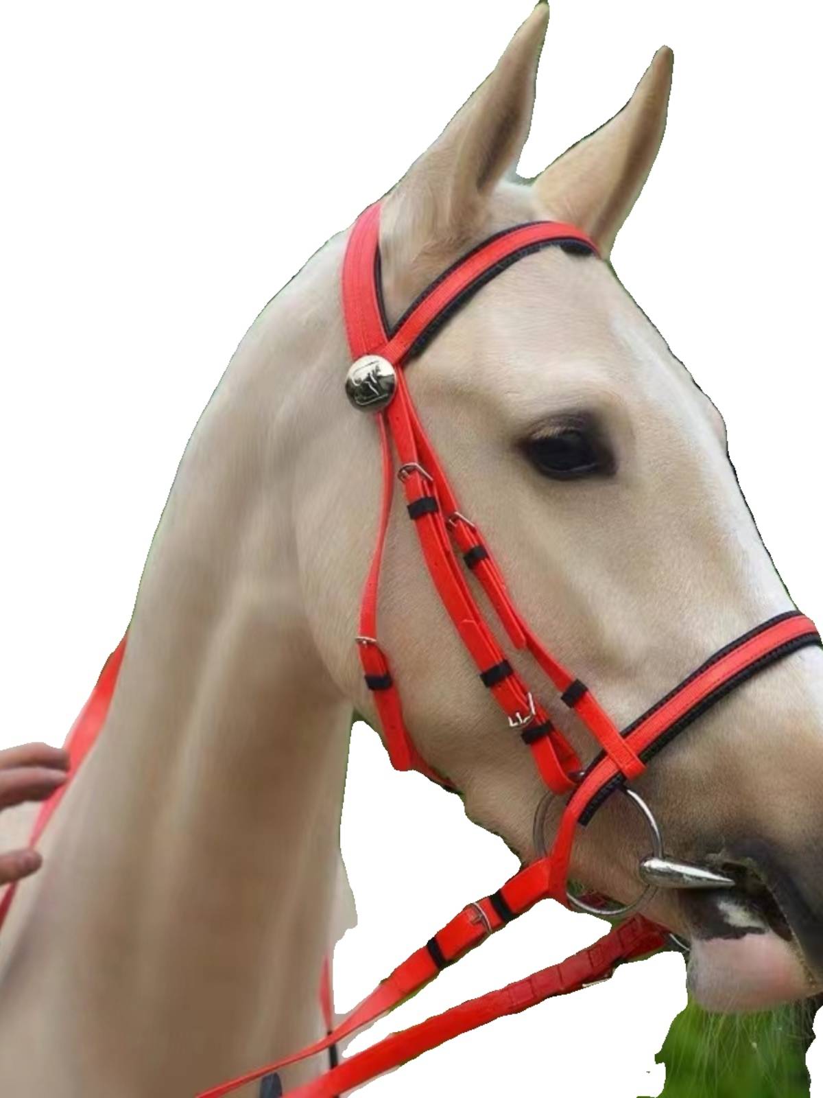 PVC Shuile reins anti -frozen anti -slip, abrasion -resistant British -style comprehensive saddle, water saddle special accessories equestrian supplies