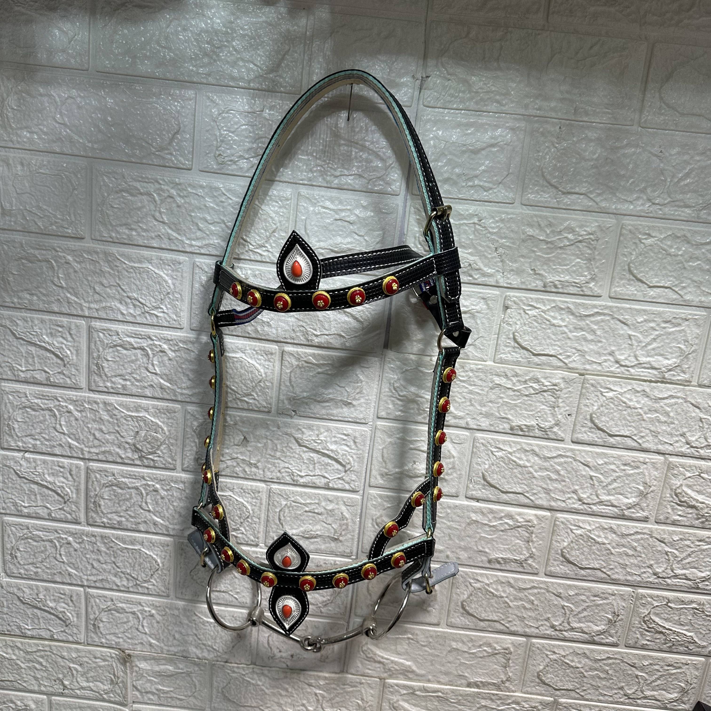 Tibetan horse-pattered, hand-carved fork horse-cheeked fork-pants with a long-lasting set of traditional bubble nails