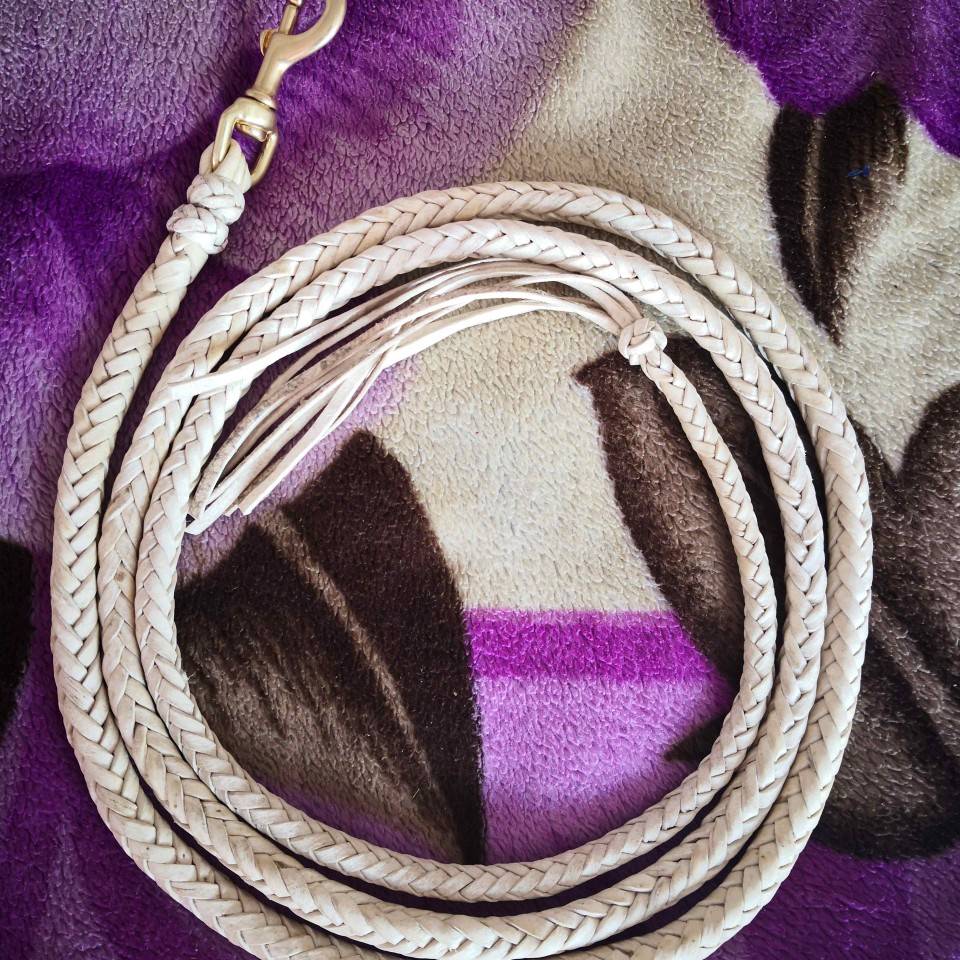 Pure leather horse reins and horses horses horses horseswood supplies