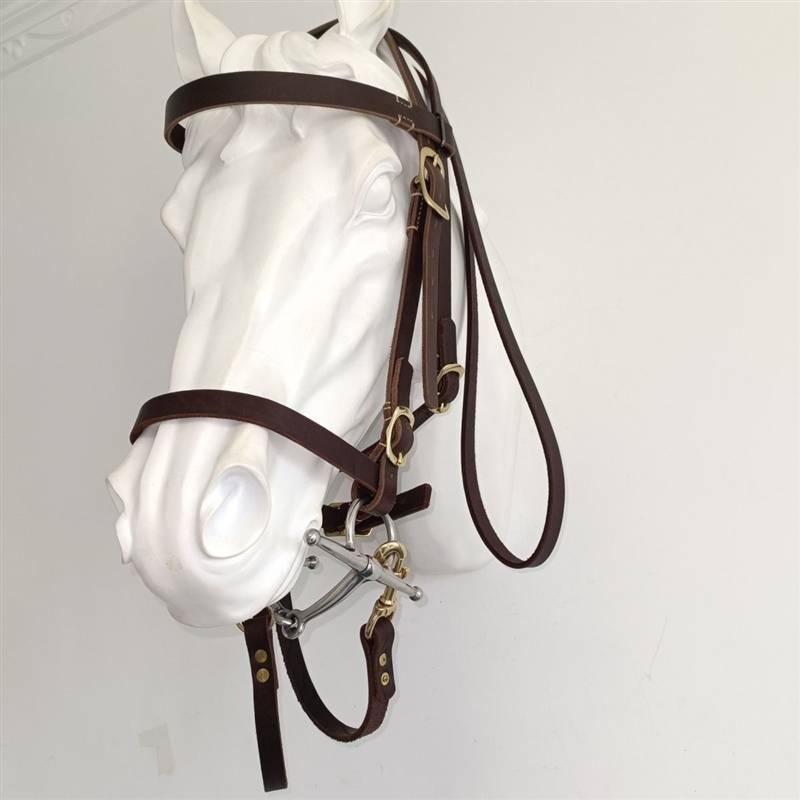 Shuile reins cowhide Shuile reins suite 304 stainless steel chewed equel equipment size can be new