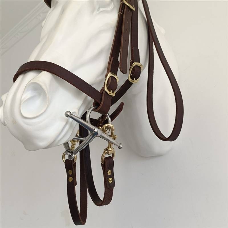 Shuile reins cowhide Shuile reins suite 304 stainless steel chewed equel equipment size can be new
