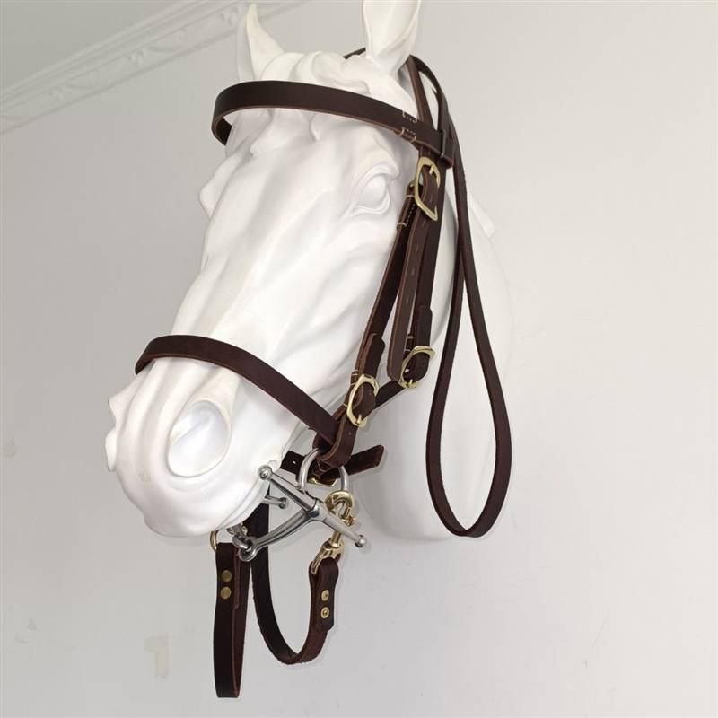 Shuile reins cowhide Shuile reins suite 304 stainless steel chewed equel equipment size can be new