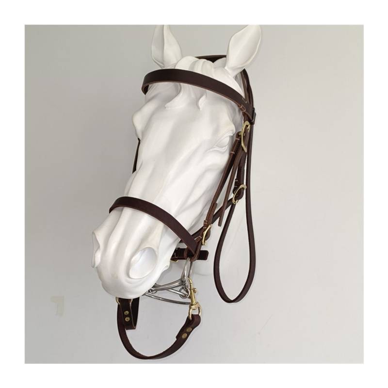 Shuile reins cowhide Shuile reins suite 304 stainless steel chewed equel equipment size can be new