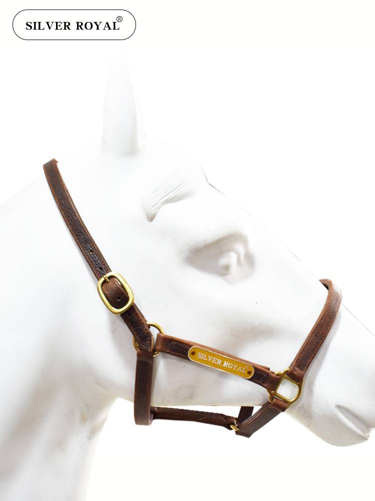 Silver Royal Equestrian cowhide cage head horses and horses leading horses can adjust cage equestrian cage