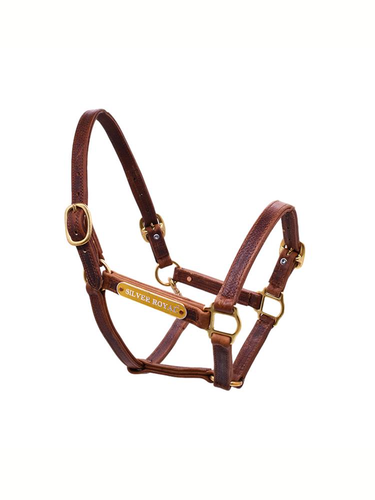 Silver Royal Equestrian cowhide cage head horses and horses leading horses can adjust cage equestrian cage
