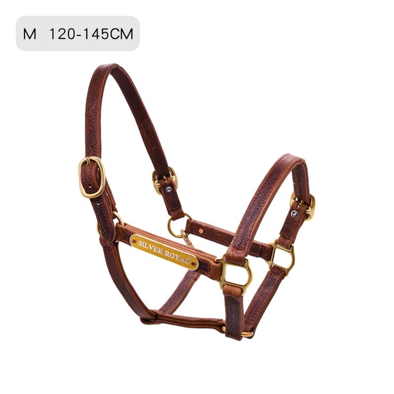 M(120-145CM)