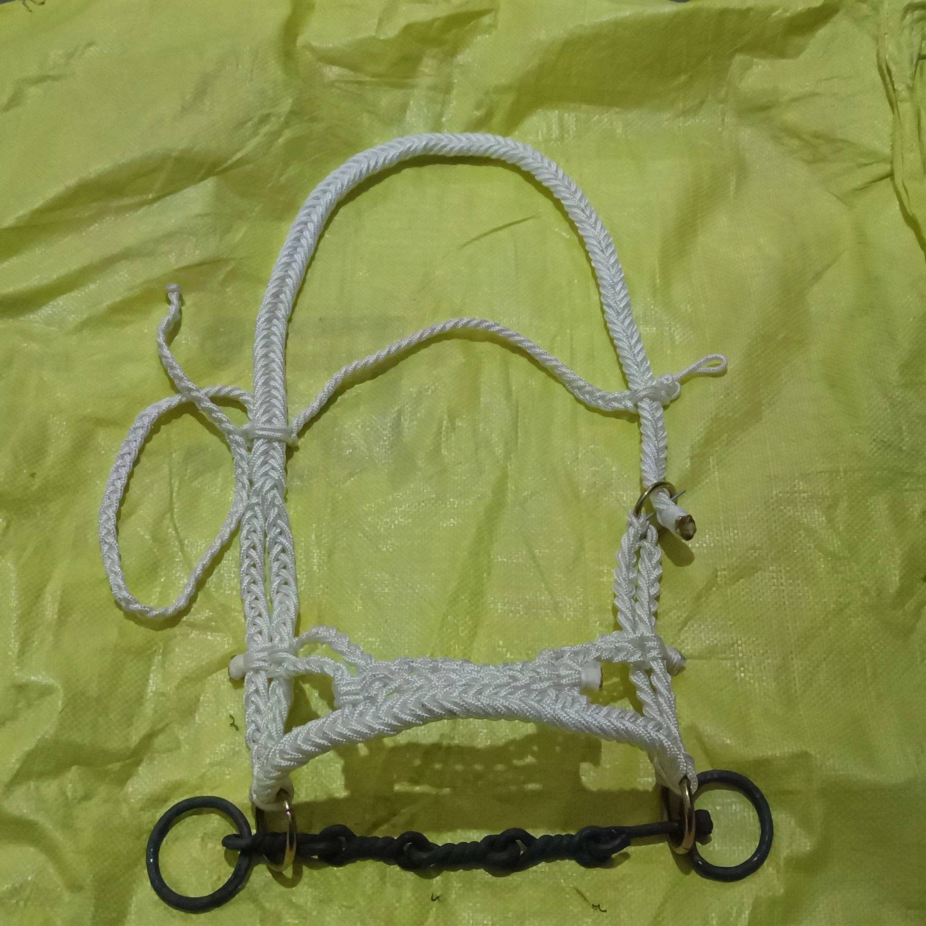 1-E66 WITH A LARGE BLACK-CHAINED CAGE