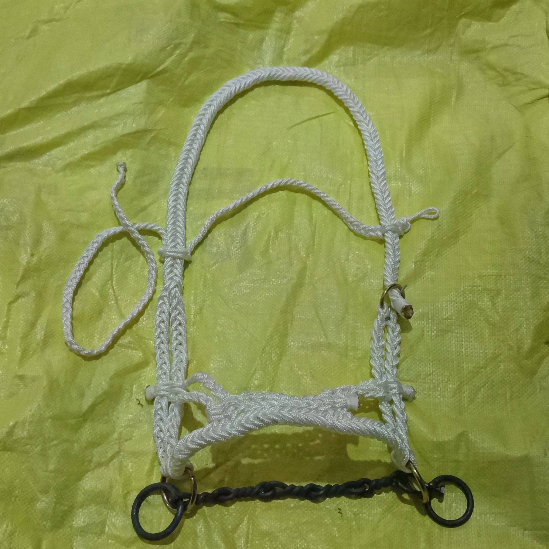 1-B64 WITH A SMALL BLACK-CHAINED CAGE
